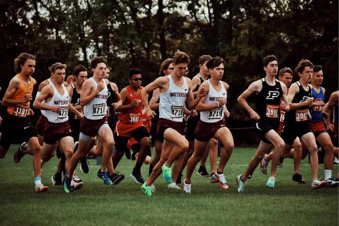 Kaiyun中国：2024跑步课表免费发放！全年超完整训练计划（建议收藏）(图3)