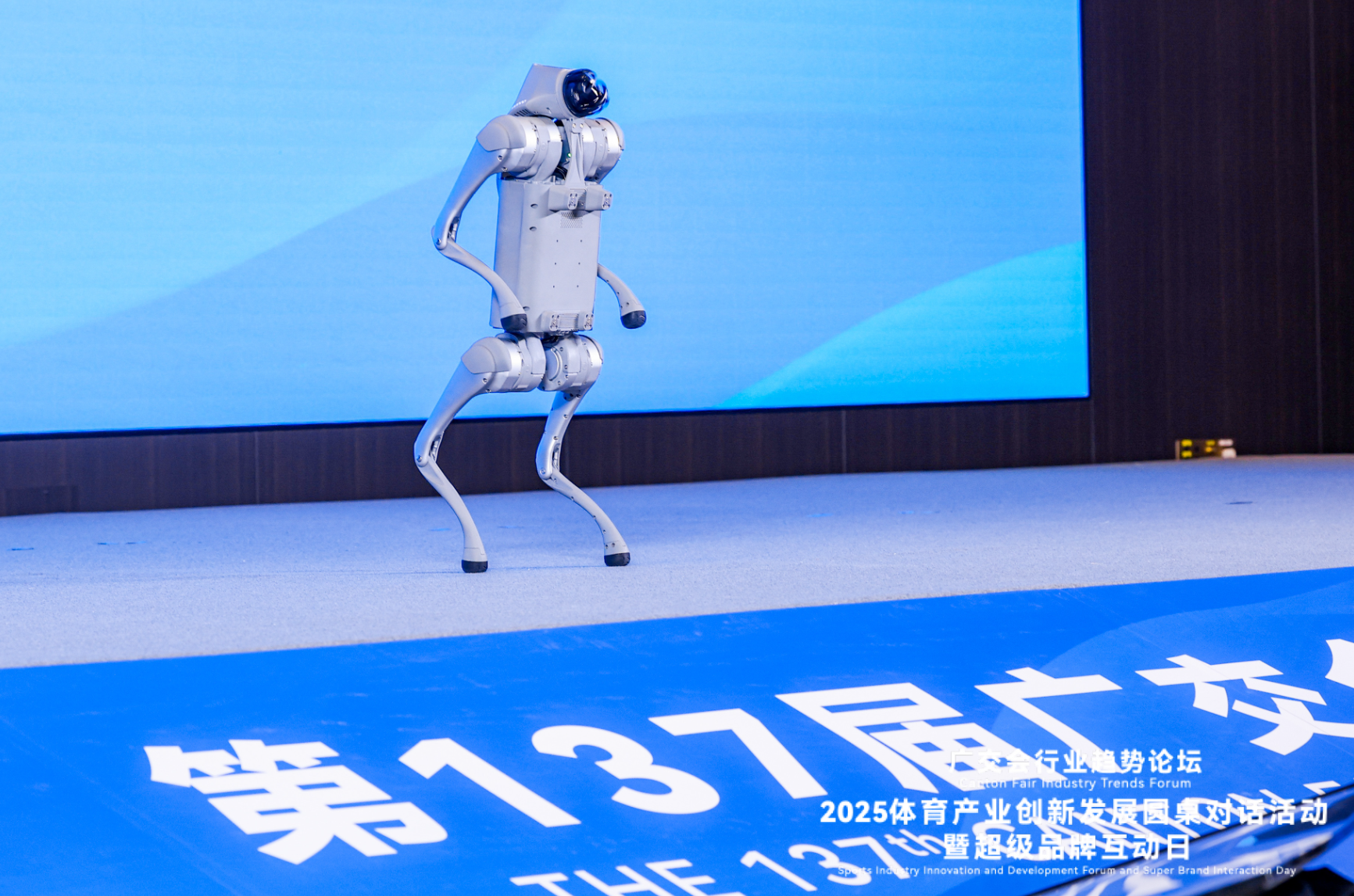 Kaiyun中国：数字化是发展新趋势！广交会上产学研代表共商体育产业创新“向前”(图5)