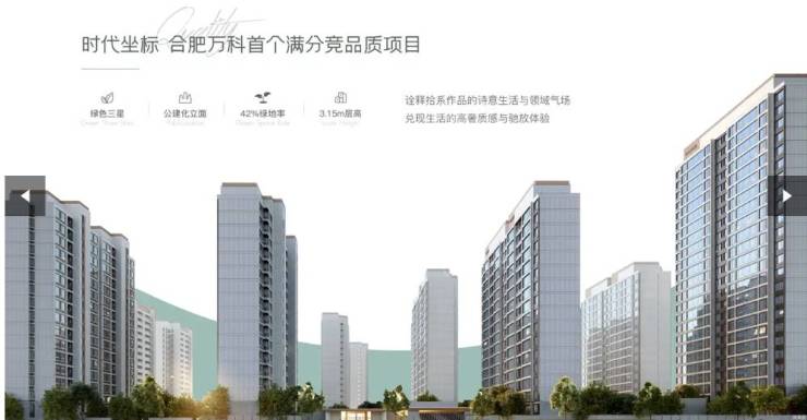 Kaiyun中国：合肥长丰最新在售楼盘-长丰买房哪里好-买房交流群(图3)